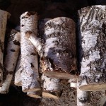 дрова березовые в Одессе